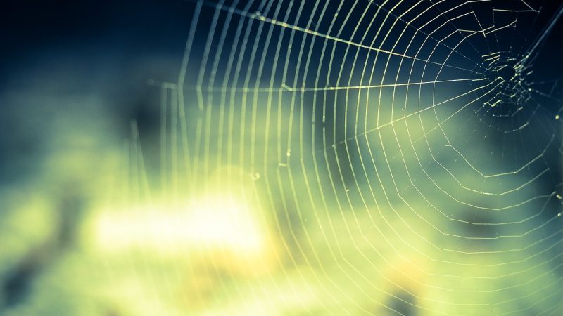 外网小游戏 高分攻略与实用技巧汇总